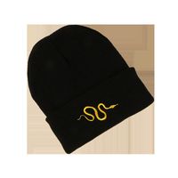 Hot Selling Snake Knitted Fashion All-match Warm Hat Wholesale main image 6