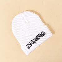 Hot Selling New Woolen Women's Embroidery Pure Color Knitted Hats Wholesale main image 5