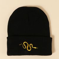Hot Selling Snake Knitted Fashion All-match Warm Hat Wholesale sku image 1