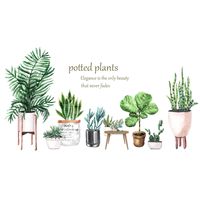 Printing Custom Wall Stickers Large Potted Succulent Leaf Cactus Skirting Hot Sale main image 6