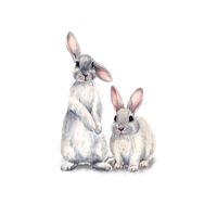 New Wall Stickers Two Cute Rabbits Children's Room Home Decoration Removable Wall Stickers sku image 1
