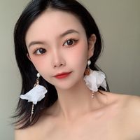 New Fashion Pearl Korea Niche Tassel Earrings For Women Hot-saling Wholesale main image 3