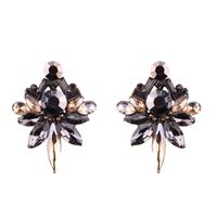 Occident And The United States Alloy Inlaid Imitated Crystal Earring (champagne)  Nhjq7801 sku image 2