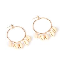 Summer New Natural Shell Exaggerated Geometric Big Circle Earrings main image 6