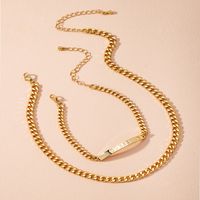 Hot Selling Fashion Exaggerated Personality Thick Chain Handmade Chain Necklace main image 4