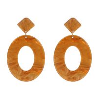 Fashion New Acetate Plate Geometric Earrings For Women Hot-saling Wholesale sku image 1