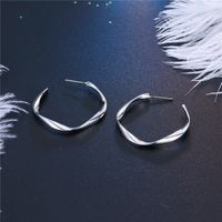 Hot-selling Personality Wave Halo Earrings C-shaped Twisted Earrings Wholesale main image 3