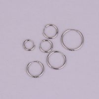 Korean Stainless Steel Earrings main image 6