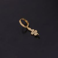 New Fashion Key  Serpentine Zircon Earrings main image 6