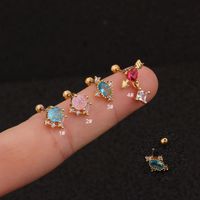 Ear Cartilage Rings & Studs Lady 316 Stainless Steel  Copper Inlaid Zircon Zircon main image 1