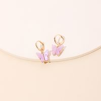 Fashion New Zircon Butterfly Tide New Acylic Earrings For Women main image 4