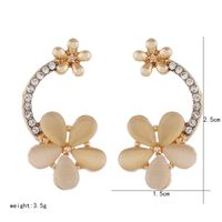 Fashionable Small Flowers Wild Exaggerated Diamond Alloy Earrings main image 6