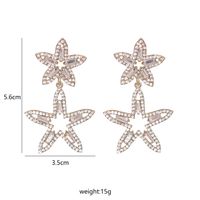 Korean New Fashion Wild Full Diamond Five-pointed Star Artificial Crystal Star Earrings main image 4