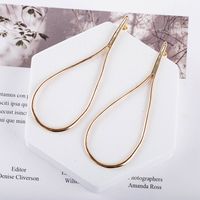 Fashion New S925 Silver Needle Hollow Long Style Original Exaggerated Earrings For Women main image 3