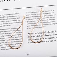 Fashion New S925 Silver Needle Hollow Long Style Original Exaggerated Earrings For Women main image 5