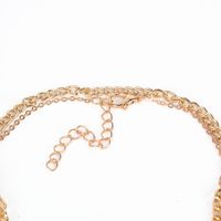Fashion Alloy Women's All-match Snake Bone Double-layer Chain Necklace main image 3