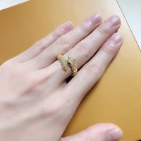 Creative Snake-shaped Ring Micro-inlaid Zircon Open Ring Wholesale main image 6