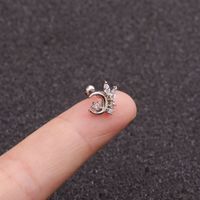 Ear Cartilage Rings & Studs Fashion Star 316 Stainless Steel  Copper Zircon main image 4