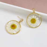 Popular New Flower Dried Flower Glue Block Earrings Wholesale main image 3