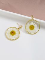 Popular New Flower Dried Flower Glue Block Earrings Wholesale main image 4