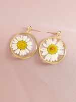 Popular New Flower Dried Flower Glue Block Earrings Wholesale main image 5