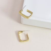 Fashion New Geometric Simple Metal Hot-selling Alloy Earrings sku image 1