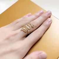 Fashion Personality Inlaid Zircon Serpentine  Wild Hip-hop Ring Wholesale main image 6