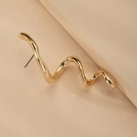 Simple Snake-shaped Popular Metal Earrings Korean Fashion Jewelry Wholesale main image 3