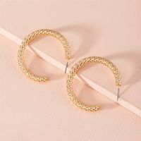 Korean New Circle Alloy Earrings For Women Hot-saling Wholesale main image 3