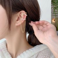 Simple Chain Tassel New Tide Magnet Natural Freshwater Pearl Without Pierced Ear Bone Clip main image 1