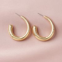 Popular New Metal Texture  Hot-selling  Earrings Wholesale sku image 1