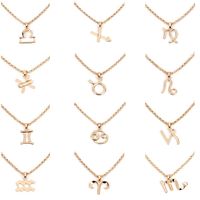 Hot-selling Twelve Constellation Necklaces Wholesale sku image 25