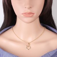 Hot-selling Twelve Constellation Necklaces Wholesale sku image 4
