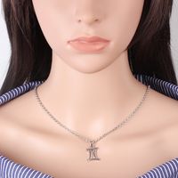 Hot-selling Twelve Constellation Necklaces Wholesale sku image 7