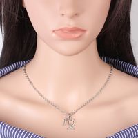Hot-selling Twelve Constellation Necklaces Wholesale sku image 13