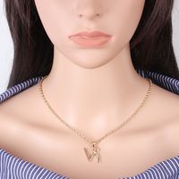 Hot-selling Twelve Constellation Necklaces Wholesale sku image 20