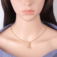 Hot-selling Twelve Constellation Necklaces Wholesale sku image 10
