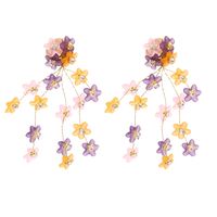 Übertriebene Geometrische Schmetterlingstropfen Transparente Krallenkette Diamantohrringe Für Frauen Großhandel main image 1