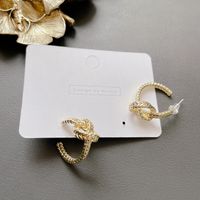 Geometric Shape Alloy Earrings main image 5