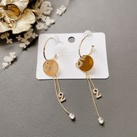 Micro-inlaid Alloy Long Earrings main image 1