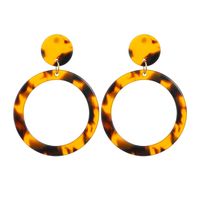 Leopard Print Geometric Round Earrings main image 6