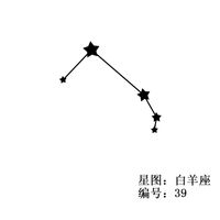 Edelstahl Constellation Anhänger Halskette sku image 1