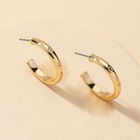 Wholesale Metal Fashion Earrings main image 4