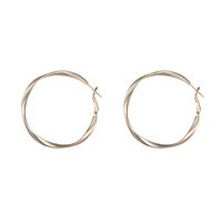 Matte Spiral C-shaped Big Circle Earrings main image 6