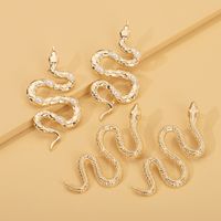 Snake Long Earrings Wholesale main image 2