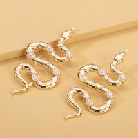 Snake Long Earrings Wholesale main image 3