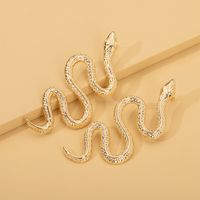 Snake Long Earrings Wholesale main image 4