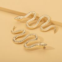Snake Long Earrings Wholesale main image 5