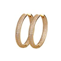 Simple  Gold-plated Zircon Earrings main image 6