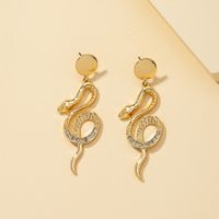 Fashion S Serpentine Earrings main image 1